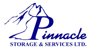 Welcome To Pinnacle Logo